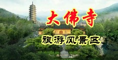小骚逼被大鸡巴操的淫叫视频中国浙江-新昌大佛寺旅游风景区